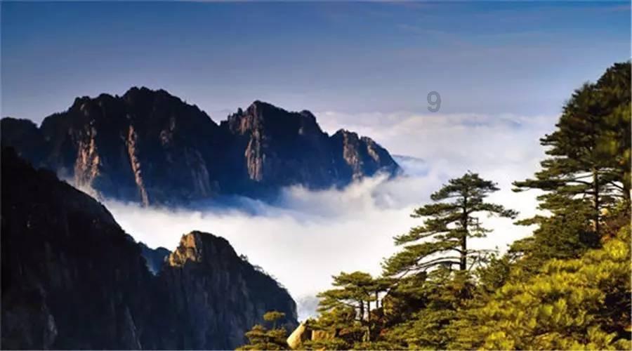 公主的阅读区