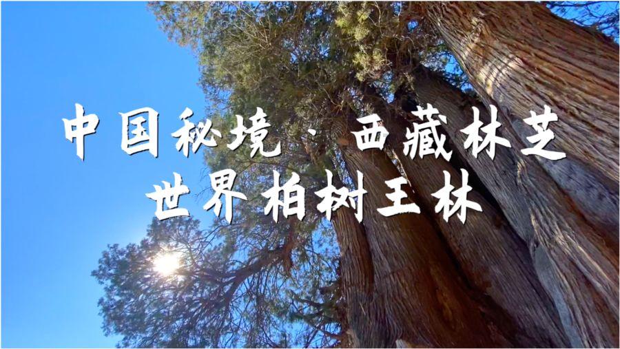 神秘事件