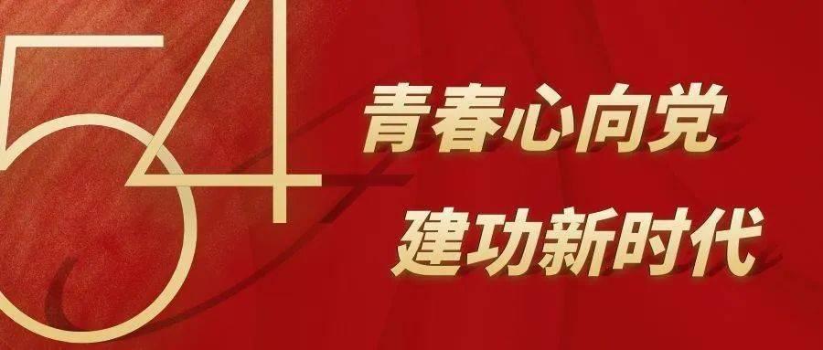请推荐几部好看的电视剧？
